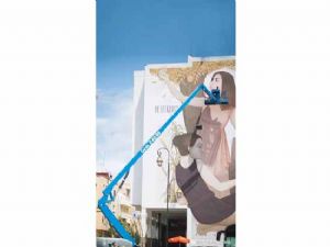 直臂式高空作業(yè)車